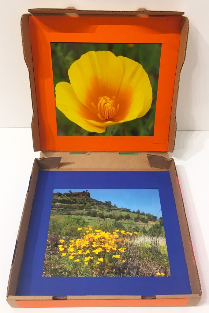 "Flower Box" by Robert Nance - Inside