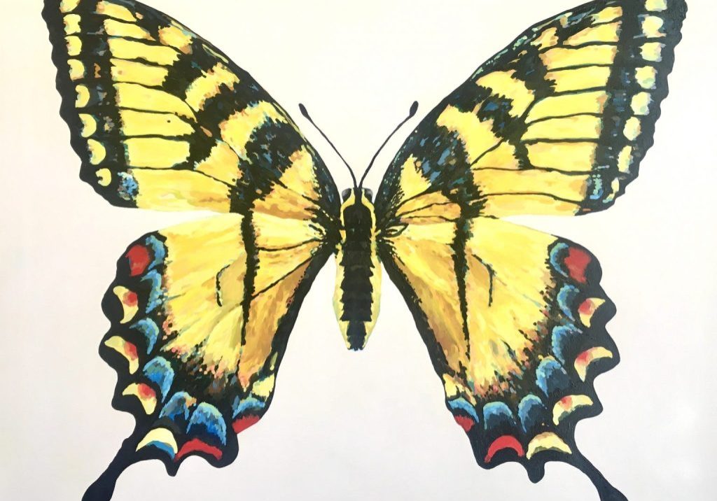 BrittaGoldman_Anise-Swallowtail-Papilio-Zelicaon-copy-2-1536x1172