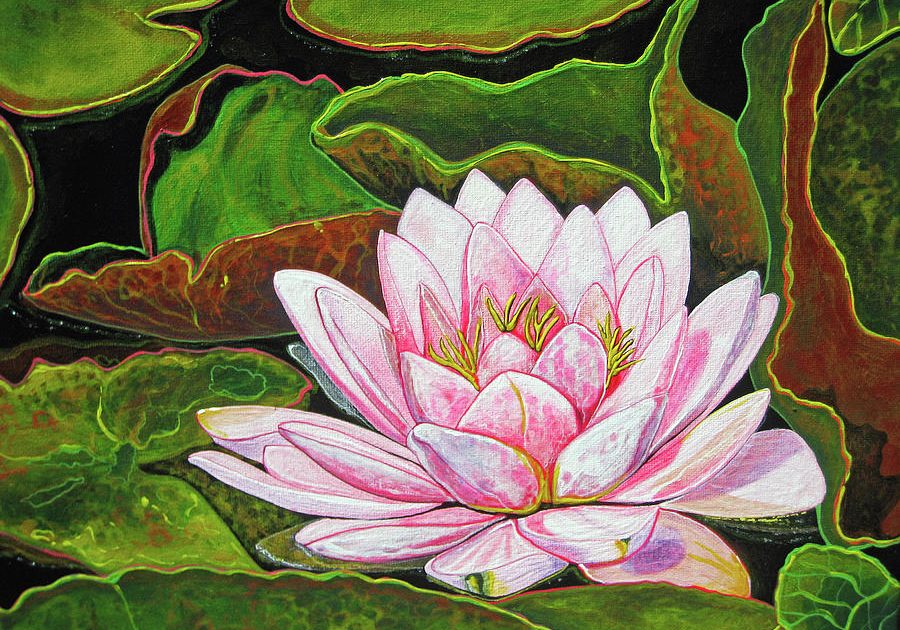 debbie-chamberlin_pink-water-lily